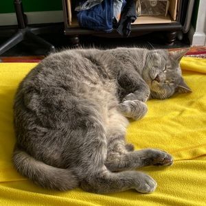 Meet your Posher, David